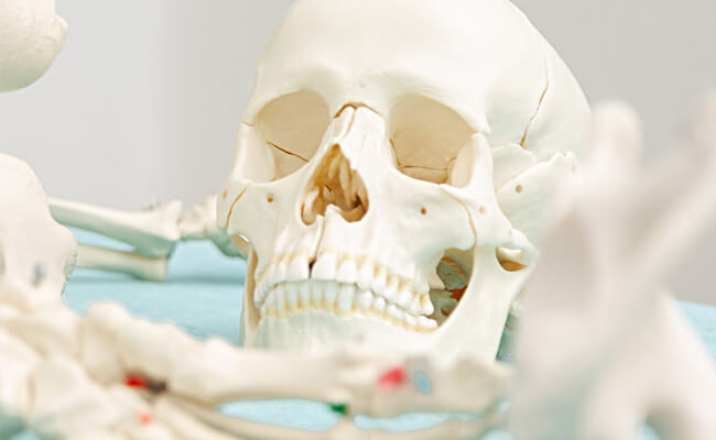 Osteopathie - Meine Praxis
